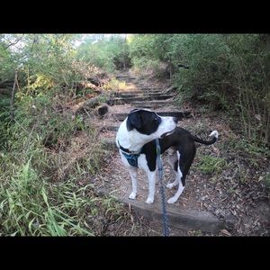 Meet your Posher, Jami